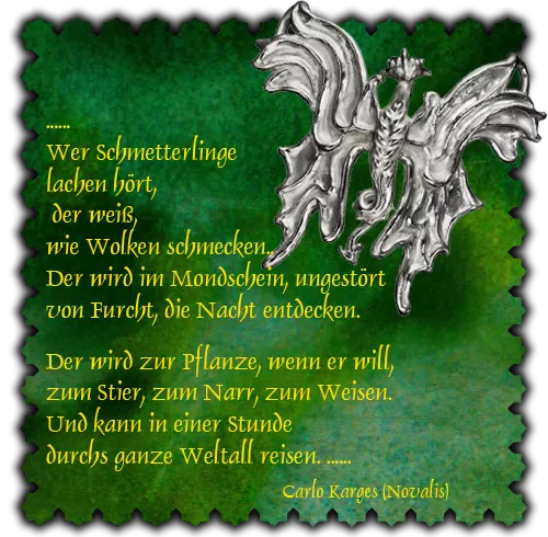 Schmuck Motiv Schmetterlinge